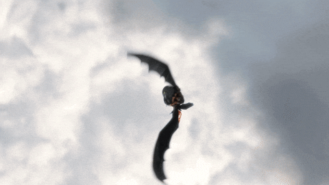 Fun Flying GIF by How To Train Your Dragon