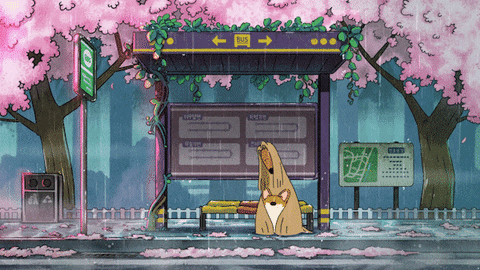studiogoindol giphyupload spring rain waiting GIF