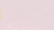 Nicolas Capaldo Football GIF by FC Red Bull Salzburg