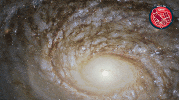 GIF by ESA/Hubble Space Telescope
