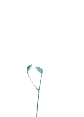 Vertgreen giphyupload environment landscaping ambientes Sticker