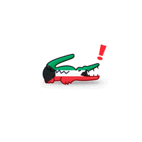 kuwait what GIF by LACOSTE