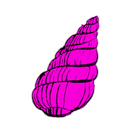Chapot pink sea sketch print Sticker