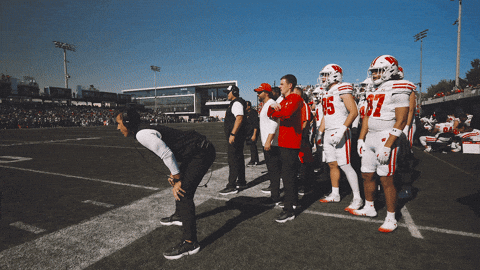 Excited College Football GIF by Wisconsin Badgers