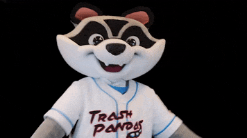 Baseball Raccoon GIF by Rocket City Trash Pandas