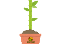 Plante Growing Sticker by Bloom House