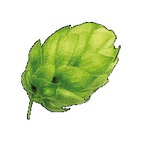 Brauerei Hopfen Sticker by Privatbrauerei Waldhaus