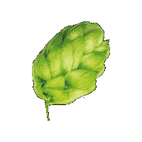 Brauerei Hopfen Sticker by Privatbrauerei Waldhaus