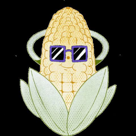 Paupiettes mais tranquille paupiette paupiettes GIF