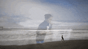 beach running GIF by Yevbel