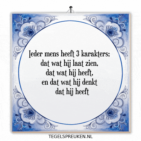 Humor Reflectie GIF by Tegelspreuken.nl