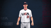 Pro GIF by USA Baseball