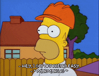 homer simpson GIF