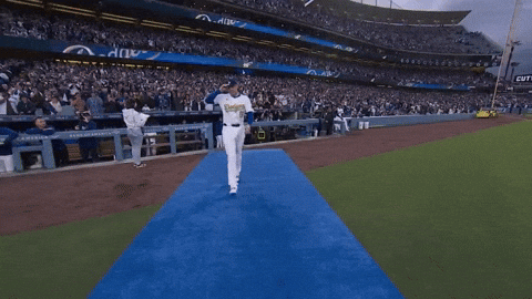 Los Angeles Dodgers Sport GIF by MLB