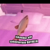 Trt1 Isel GIF