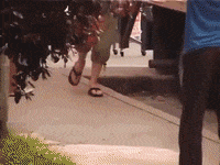 coffee indie GIF by Polyvinyl Records