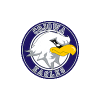 Eagles Sticker by COJOWA