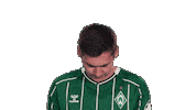 Werder Bremen Sticker by Bundesliga