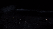 fox fire GIF by The Last Man On Earth