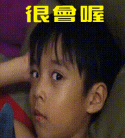Yossi GIF