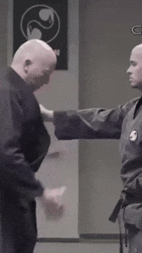 Akban Ninjutsu Bujinkan Martial Arts Self Defense Yossi Sheri GIF by AKBAN Detant