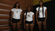 USAODrovers college volleyball usao drovers usao usao volleyball GIF