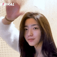 K Pop Peace GIF