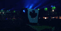 tomorrowland GIF by Robin Schulz
