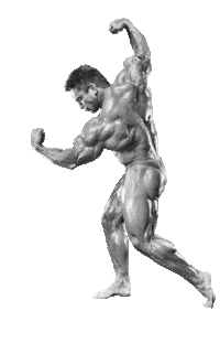 GaspariNutrition gaspari rich gaspari gaspari nutrition Sticker