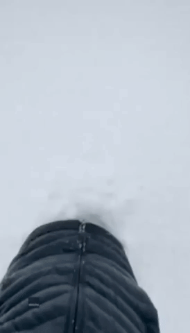 Snow-Loving Canadian Pooch Gets in Over His Head