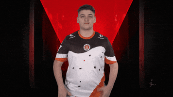 No Idea Wtf GIF by Bundesliga