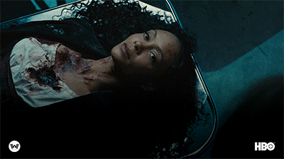 season 2 dolores GIF by Westworld HBO