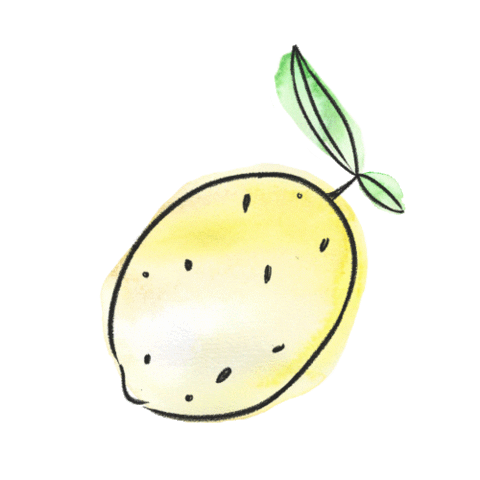 LeighElizabethStudio giphyupload orange fruit lemon Sticker