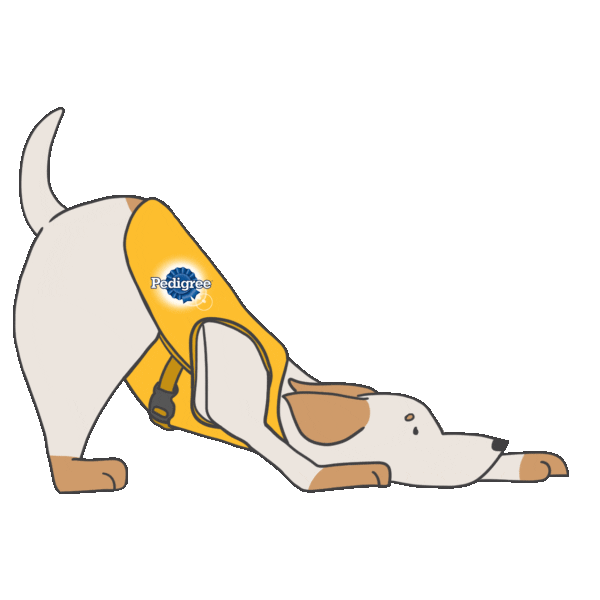 PedigreeBR giphyupload dog puppy cachorro Sticker