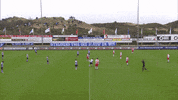 GIF by FOX Sports