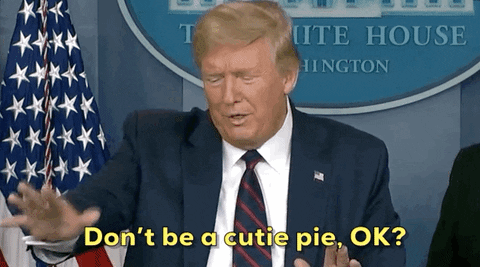 Donald Trump GIF by GIPHY News