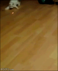 GIF by Demic