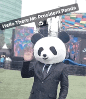 Happy Festival GIF by Social Nation