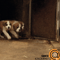 Happy Fun GIF by SWR Kindernetz