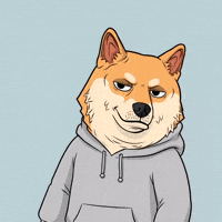 Shiba Inu Dog GIF by Doge Pound