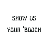 Kombucha Sticker by goodspiritkombucha