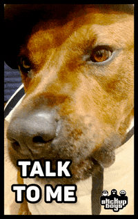 Talk To Me Dog GIF by Stick Up Music