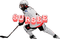 Sursee Womenshockey Sticker by Stalder's Sportsbar