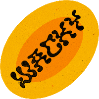 Design Wow Sticker