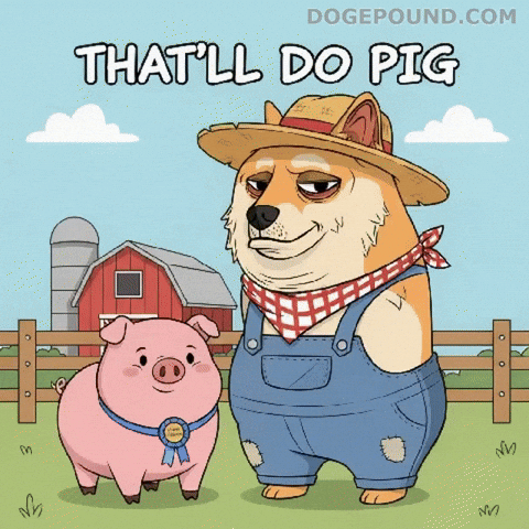 Happy Shiba Inu GIF by Doge Pound