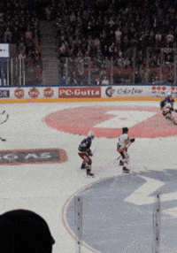VIFHockey fan 12 supporter scoring GIF