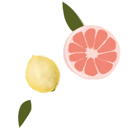 dhefloriano giphyupload fruta laranja alimento Sticker