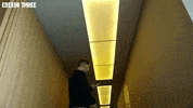 Therapgameuk GIF by BBC Three