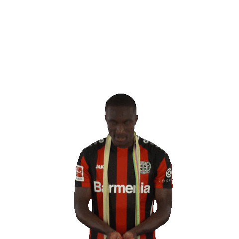 Celebrating Happy Birthday Sticker by Bayer 04 Leverkusen