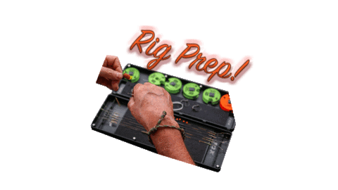 Carp Sticker by FoxInt